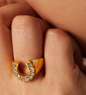 HoopLa - Lucky Horse Shoe- Steel and CZ 14K gold: 8