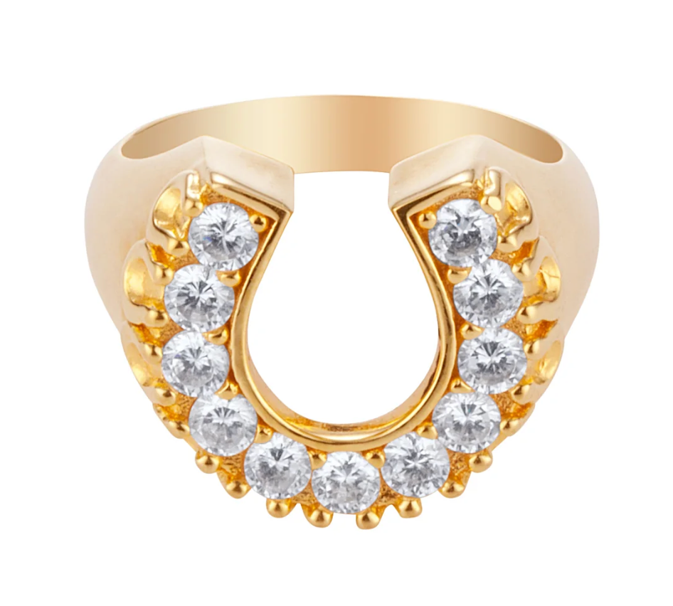 HoopLa - Lucky Horse Shoe- Steel and CZ 14K gold: 8