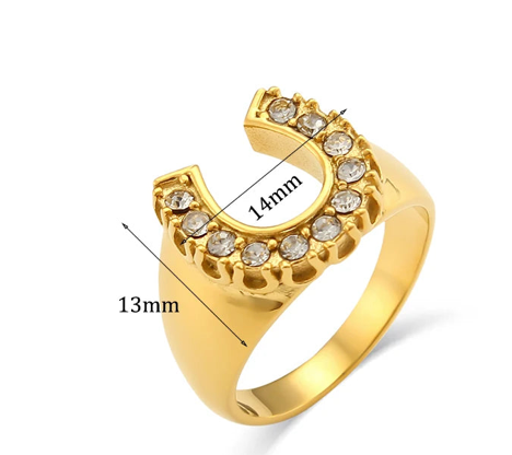 HoopLa - Lucky Horse Shoe- Steel and CZ 14K gold: 8