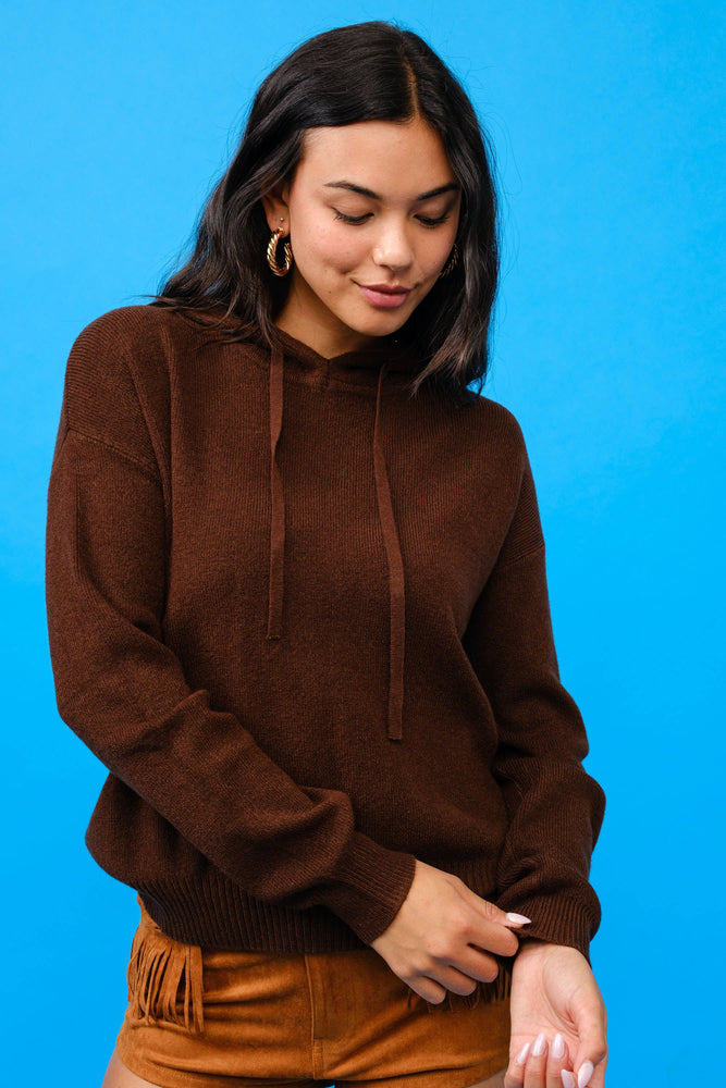 Chocolate Cashmere Hoodie Sweater
