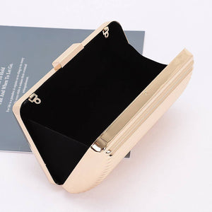 Metal Case Clutch: Silver