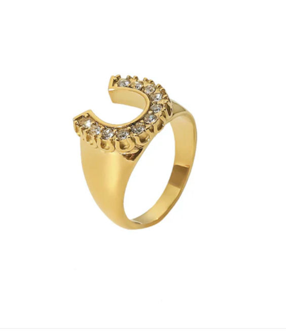 HoopLa - Lucky Horse Shoe- Steel and CZ 14K gold: 8