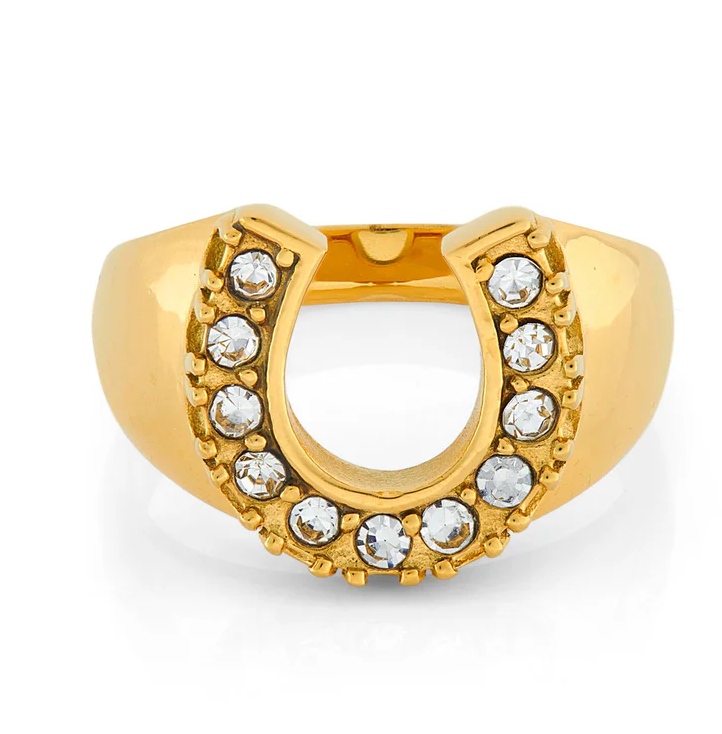 HoopLa - Lucky Horse Shoe- Steel and CZ 14K gold: 8