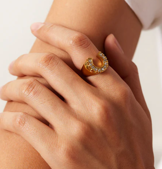 HoopLa - Lucky Horse Shoe- Steel and CZ 14K gold: 6