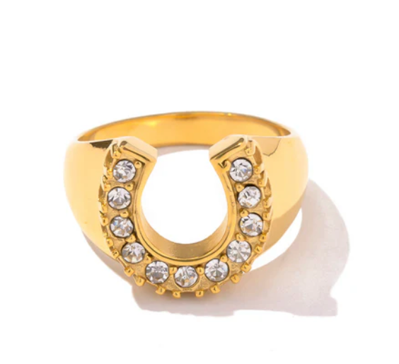 HoopLa - Lucky Horse Shoe- Steel and CZ 14K gold: 7