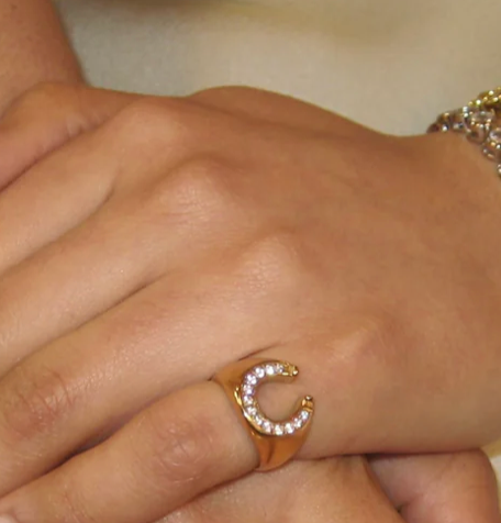 HoopLa - Lucky Horse Shoe- Steel and CZ 14K gold: 7