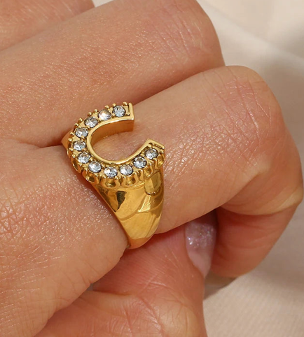 HoopLa - Lucky Horse Shoe- Steel and CZ 14K gold: 6