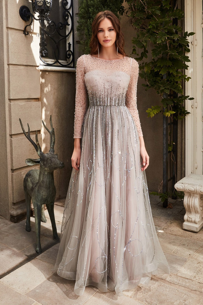 Long sleeve on sale beaded evening gown